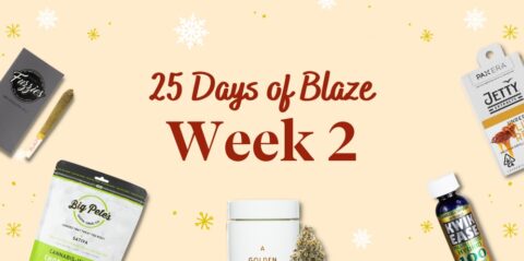 25 Days of Blaze Gift Guide #2