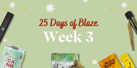 25 Days of Blaze Gift Guide #3