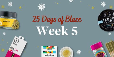 25 Days of Blaze Gift Guide #5