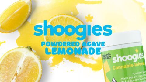 Making Lemonade with Shoogies
