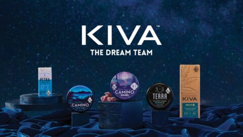 Sleep Tight with Kiva: The Dream Team